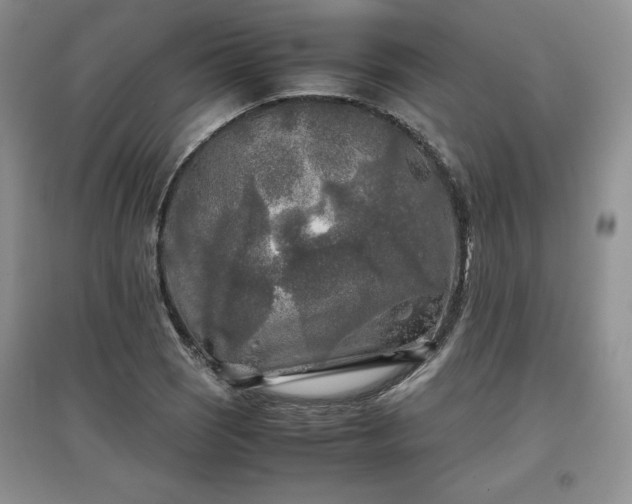 X0000097601121200803071424