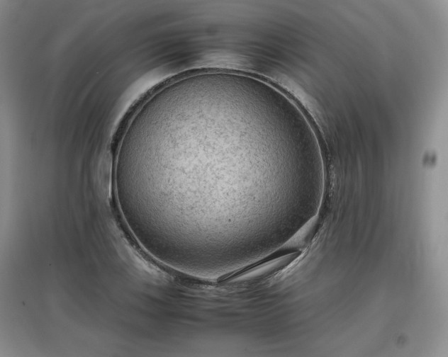 X0000097601123200803071424