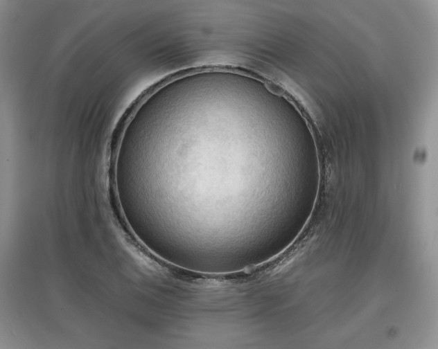 X0000097601124200803071424