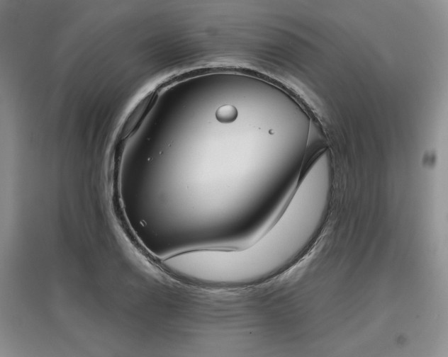 X0000097601126200803071424