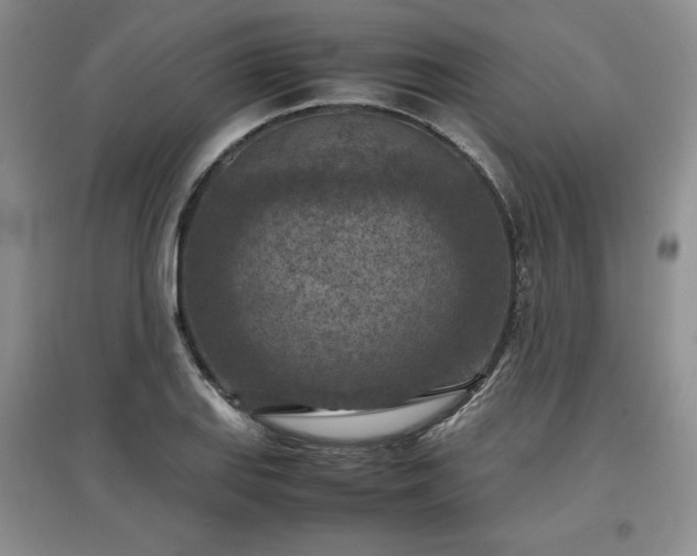 X0000097601127200803071424