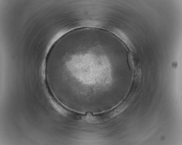 X0000097601128200803071424