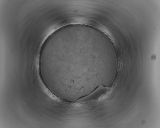 X0000097601130200803071424