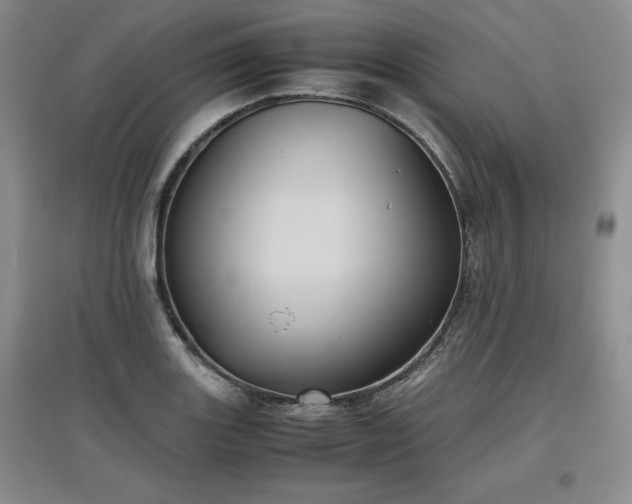 X0000097601131200803071424
