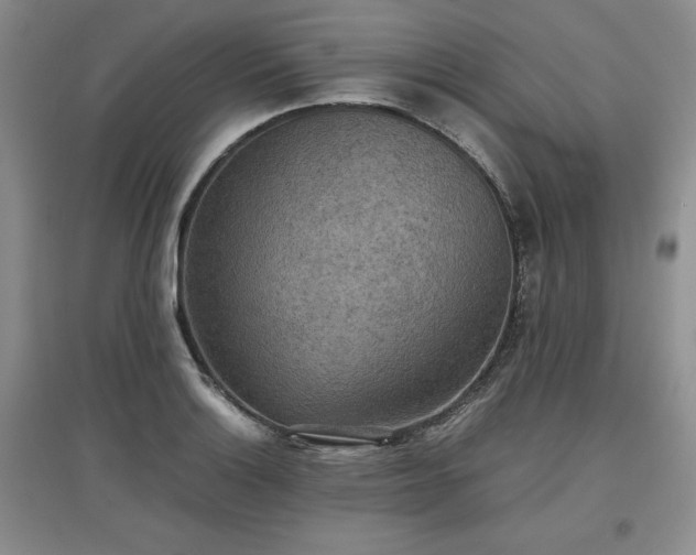 X0000097601132200803071424