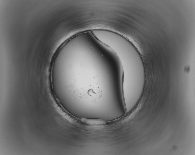 X0000097601134200803071424