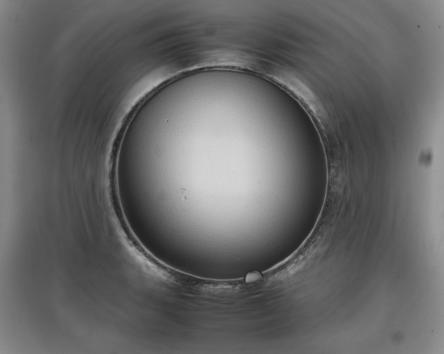 X0000097601135200803071424