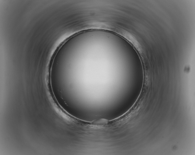 X0000097601136200803071424