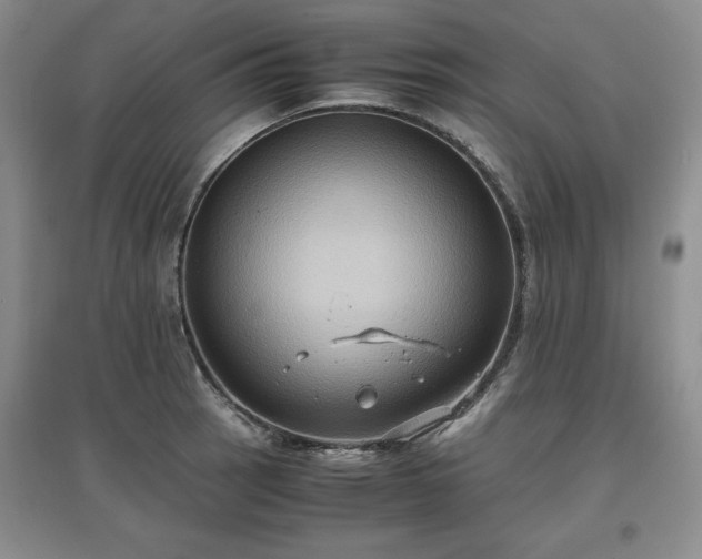 X0000097601137200803071424