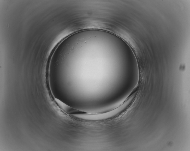 X0000097601138200803071424