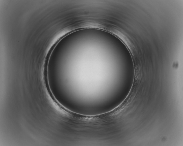 X0000097601139200803071424