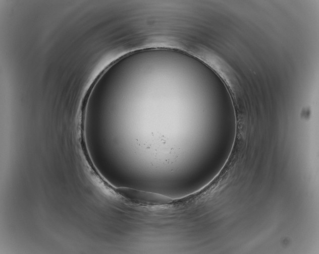 X0000097601140200803071424