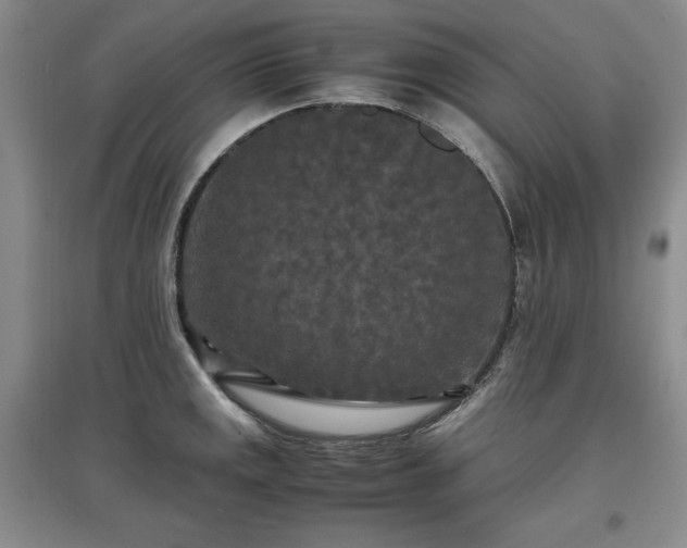 X0000097601141200803071424