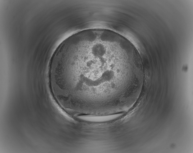 X0000097601142200803071424