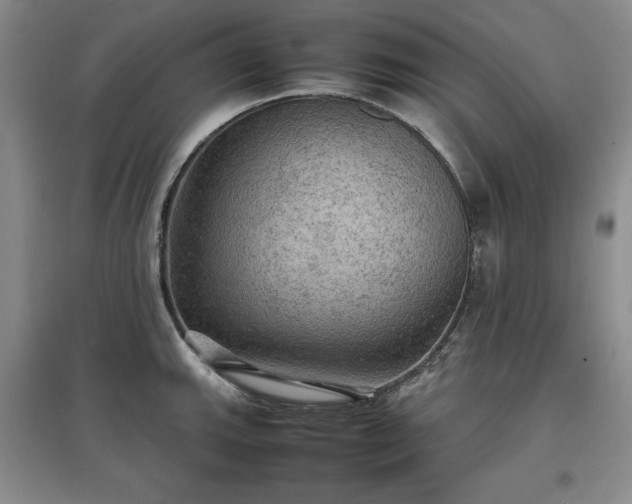 X0000097601143200803071424