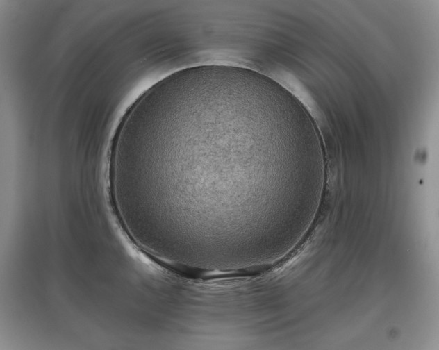 X0000097601144200803071424