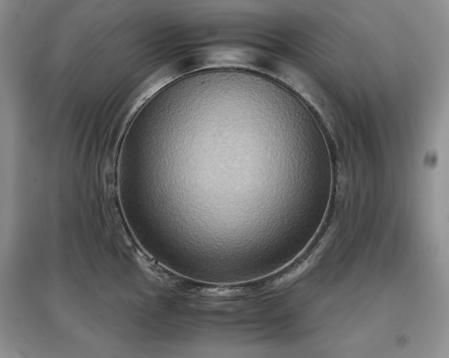 X0000097601145200803071424