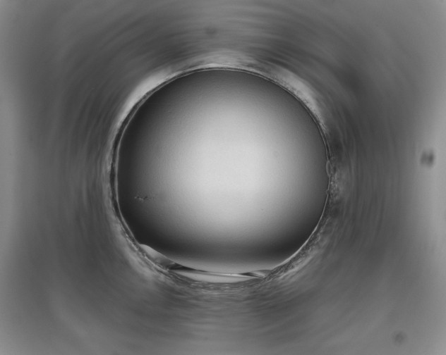 X0000097601146200803071424