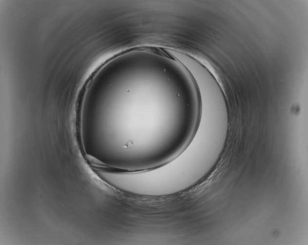 X0000097601147200803071424
