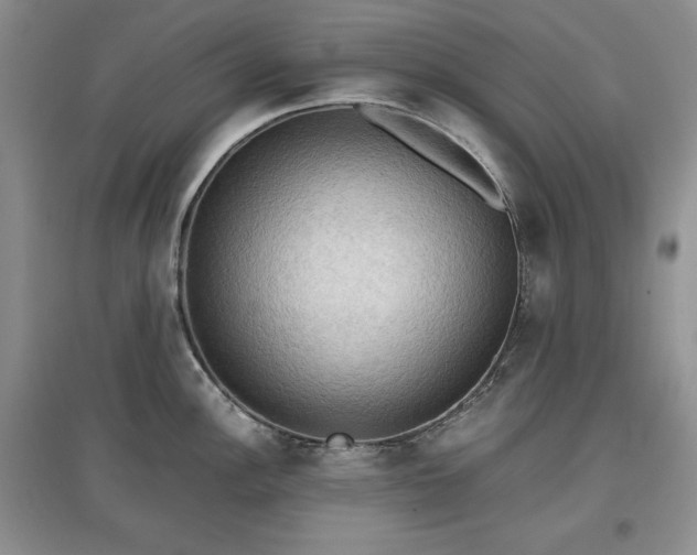 X0000097601148200803071424