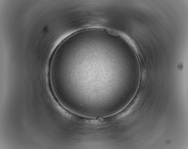 X0000097601149200803071424