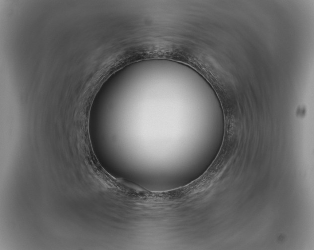 X0000097601153200803071424