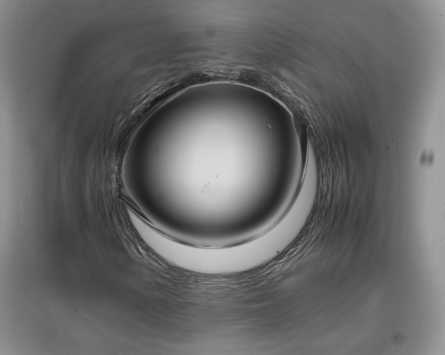 X0000097601154200803071424