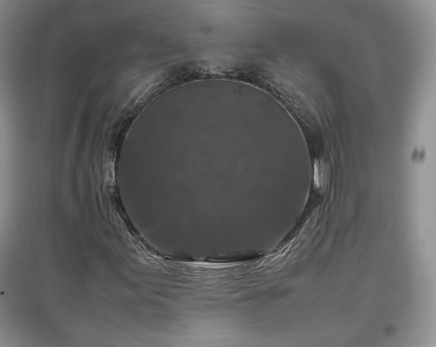 X0000097601155200803071424