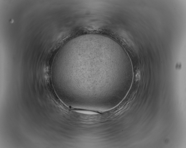 X0000097601156200803071424