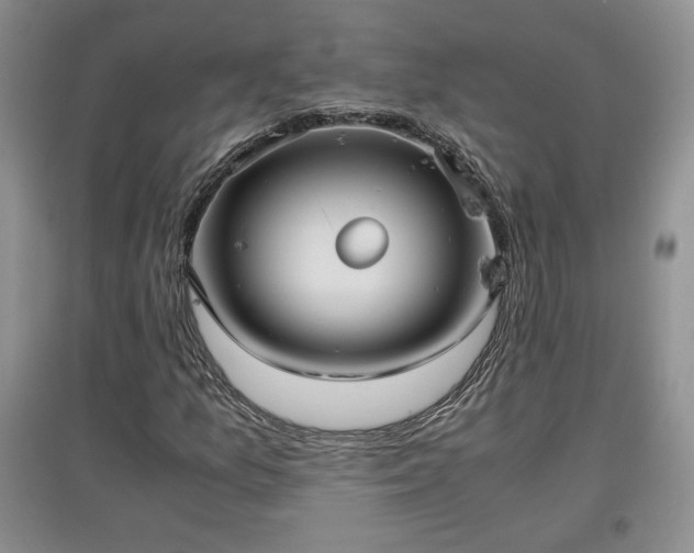 X0000097601157200803071424