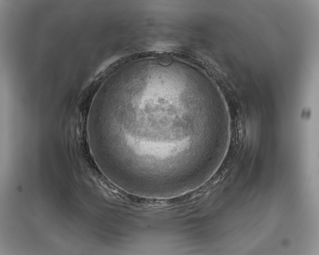 X0000097601158200803071424