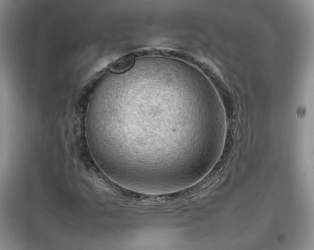 X0000097601159200803071424