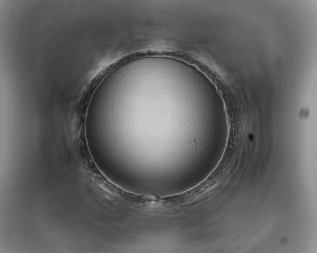 X0000097601160200803071424
