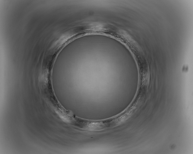 X0000097601161200803071424