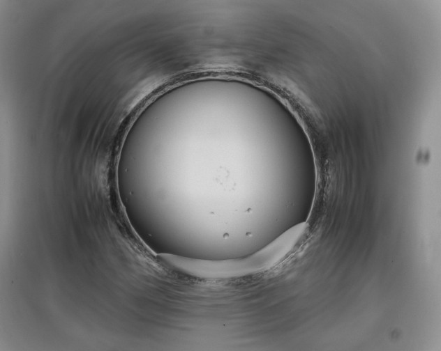 X0000097601162200803071424