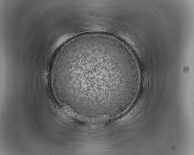 X0000097601163200803071424
