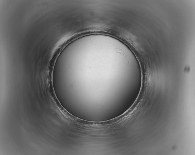 X0000097601164200803071424