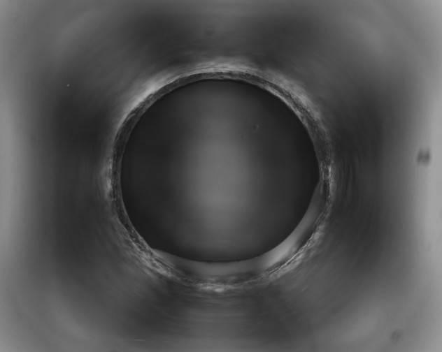 X0000097601165200803071424
