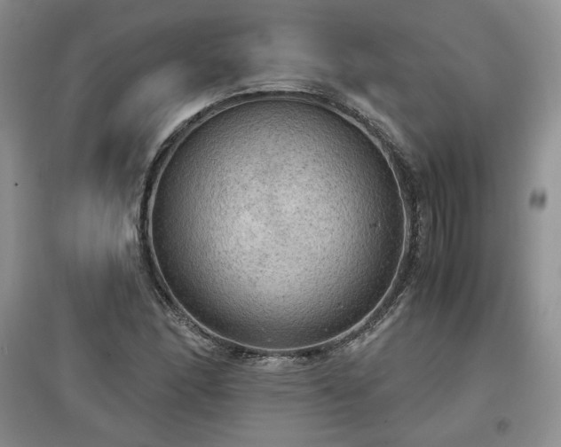 X0000097601166200803071424