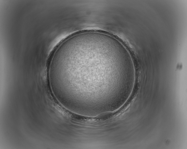 X0000097601167200803071424