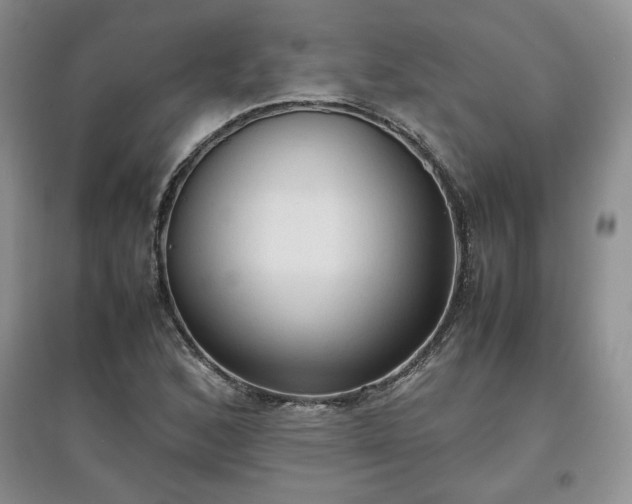 X0000097601168200803071424