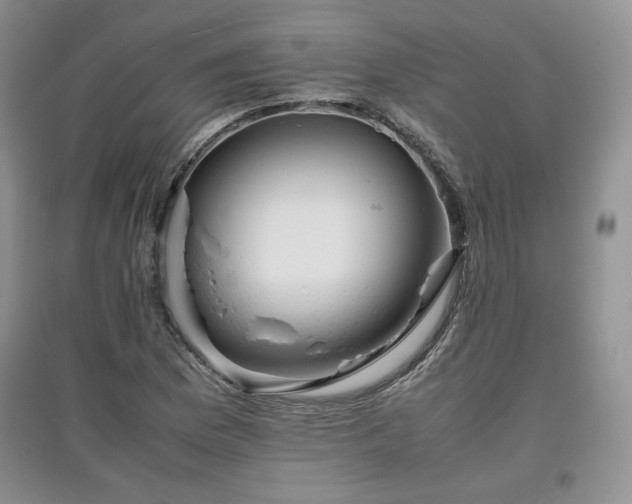 X0000097601169200803071424
