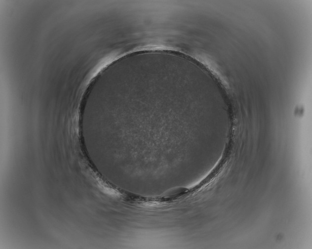 X0000097601173200803071423