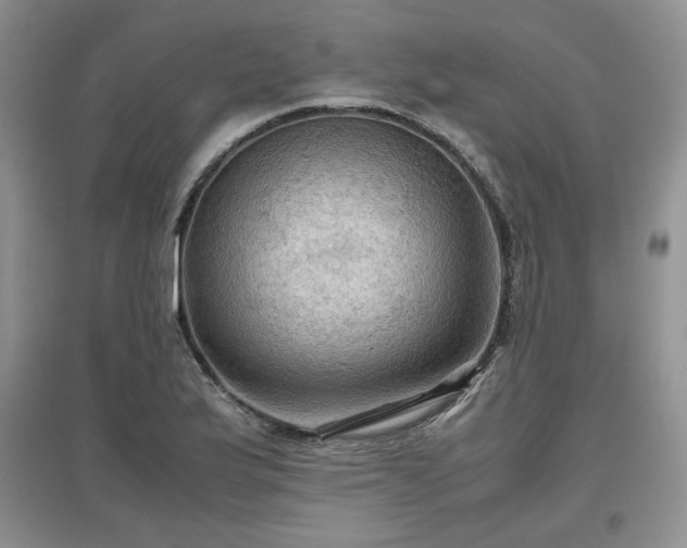 X0000097601175200803071423