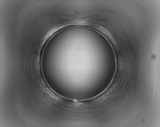 X0000097601176200803071423