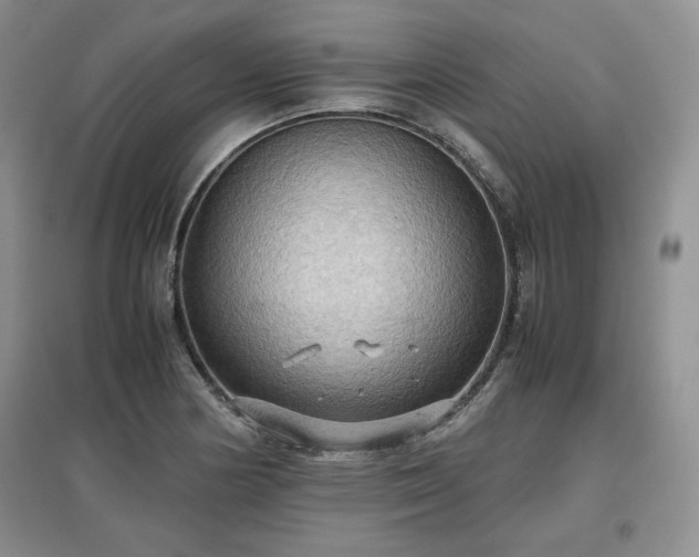 X0000097601178200803071423