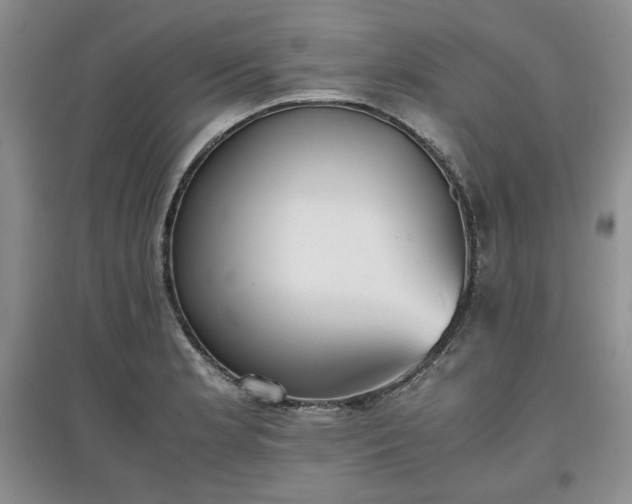 X0000097601181200803071423