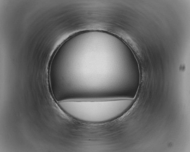 X0000097601184200803071423