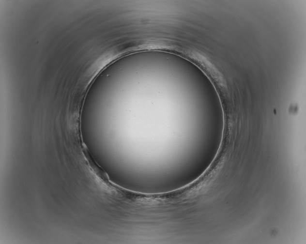 X0000097601185200803071423