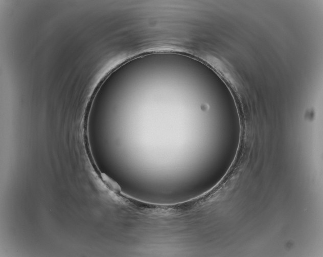 X0000097601189200803071423